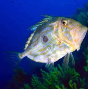 WhatsApp Image 2026-01-23 at 12.21.06 PM (1)