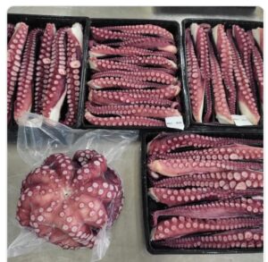 WhatsApp Image 2026-01-23 at 12.21.07 PM (1)