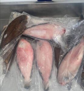 WhatsApp Image 2026-01-23 at 12.21.07 PM (2)