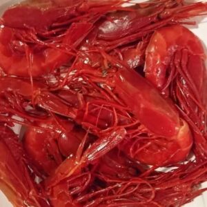 WhatsApp Image 2026-01-24 at 3.32.54 PM