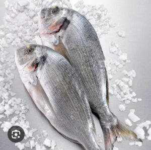 WhatsApp Image 2026-01-24 at 8.36.50 PM