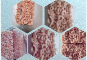 WhatsApp Image 2026-01-24 at 8.37.56 PM